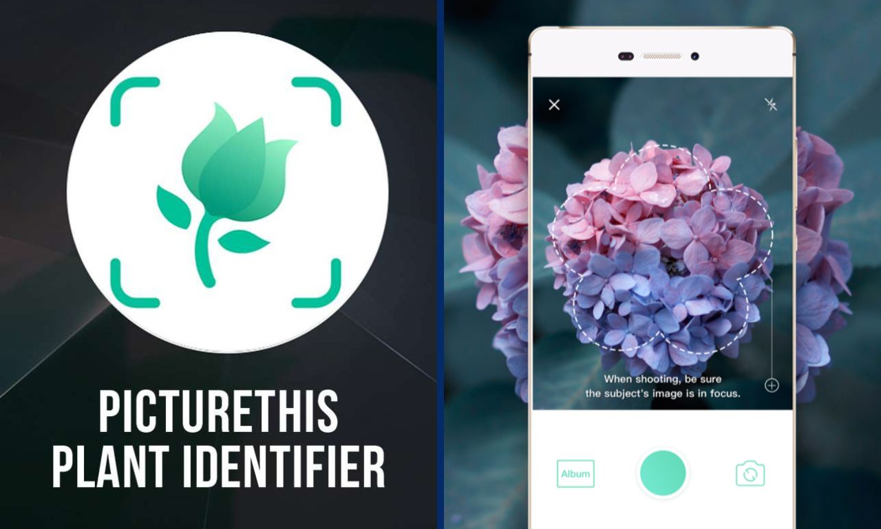 PictureThis Mod APK AN1